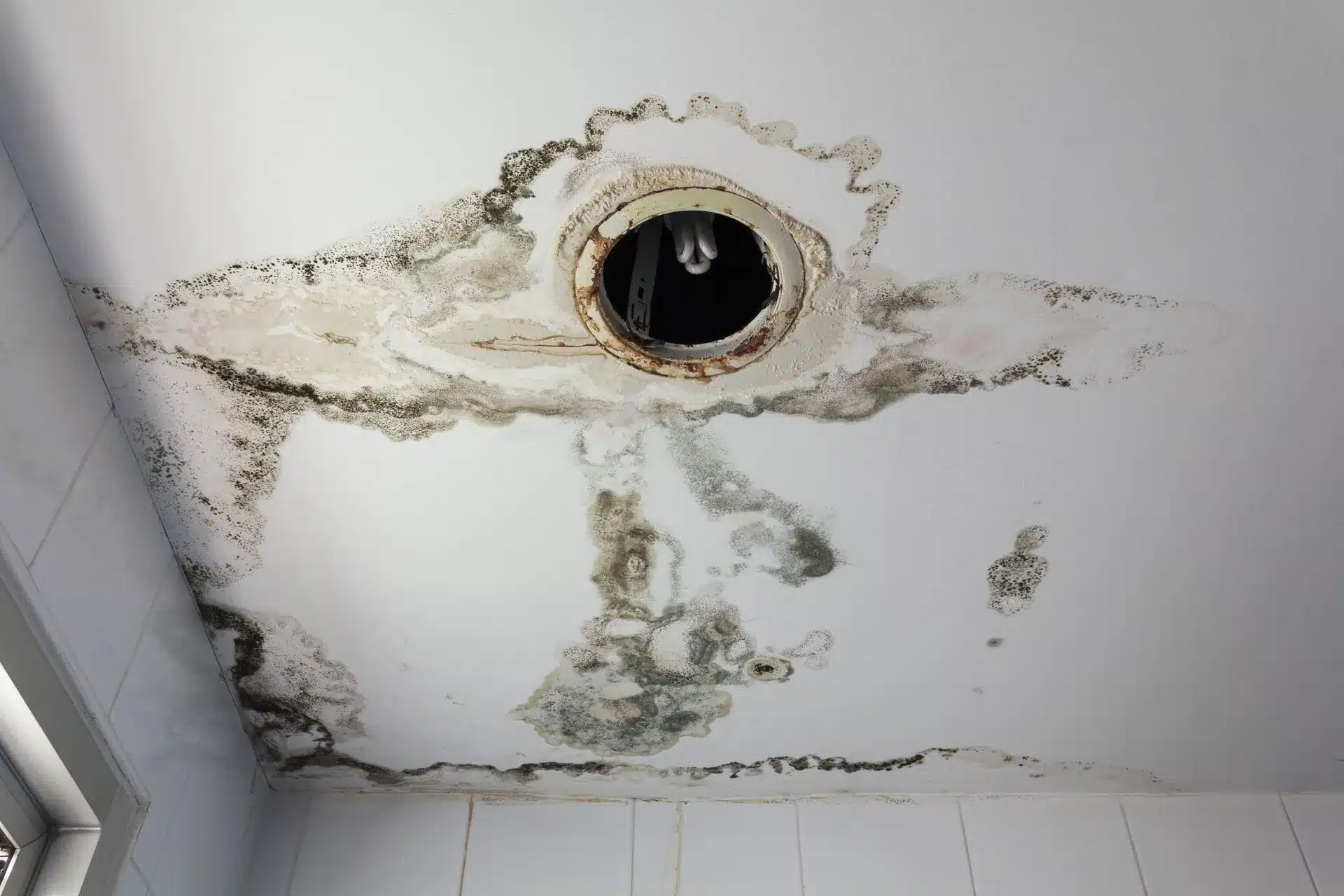How Does a Water Damage Cleanup Service Work?