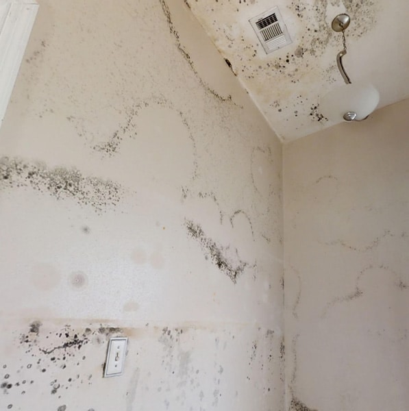 a close up of a dirty room
