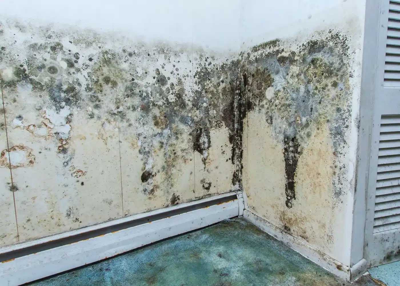 Mold Remediation Troy Services from Quick Response Restorations Services