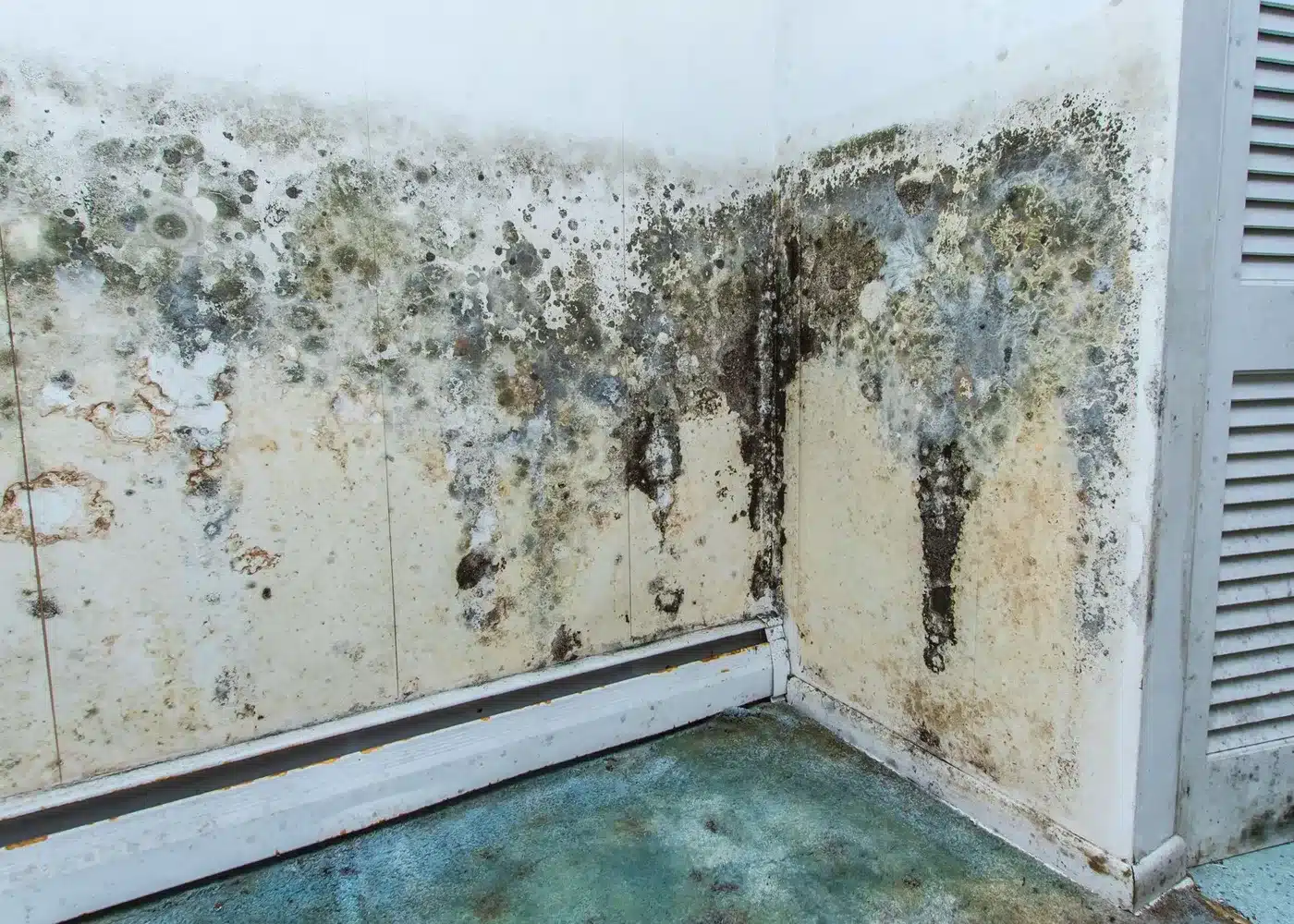 When Is Mold Remediation Required in a Home?