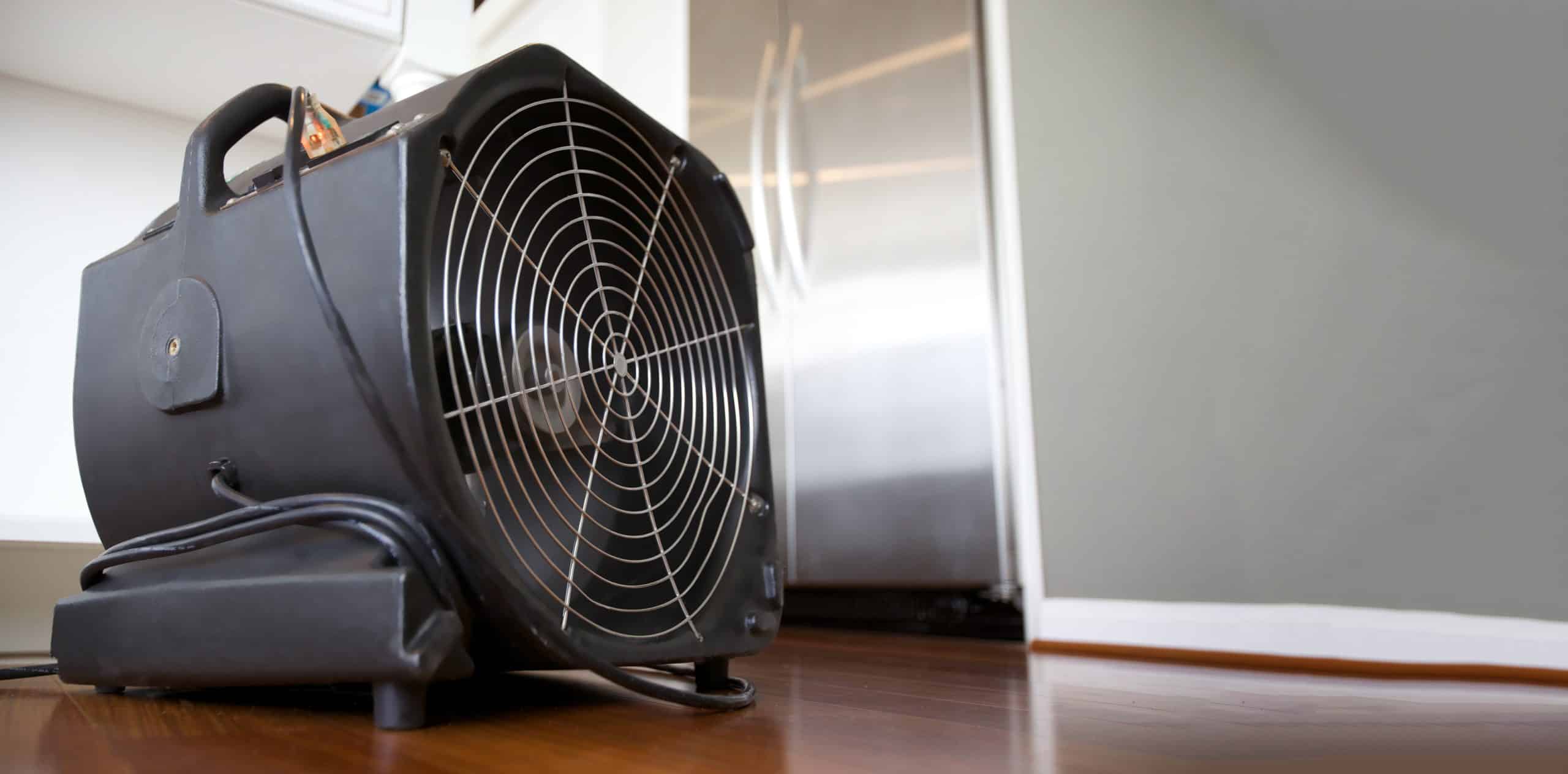 a close up of a fan